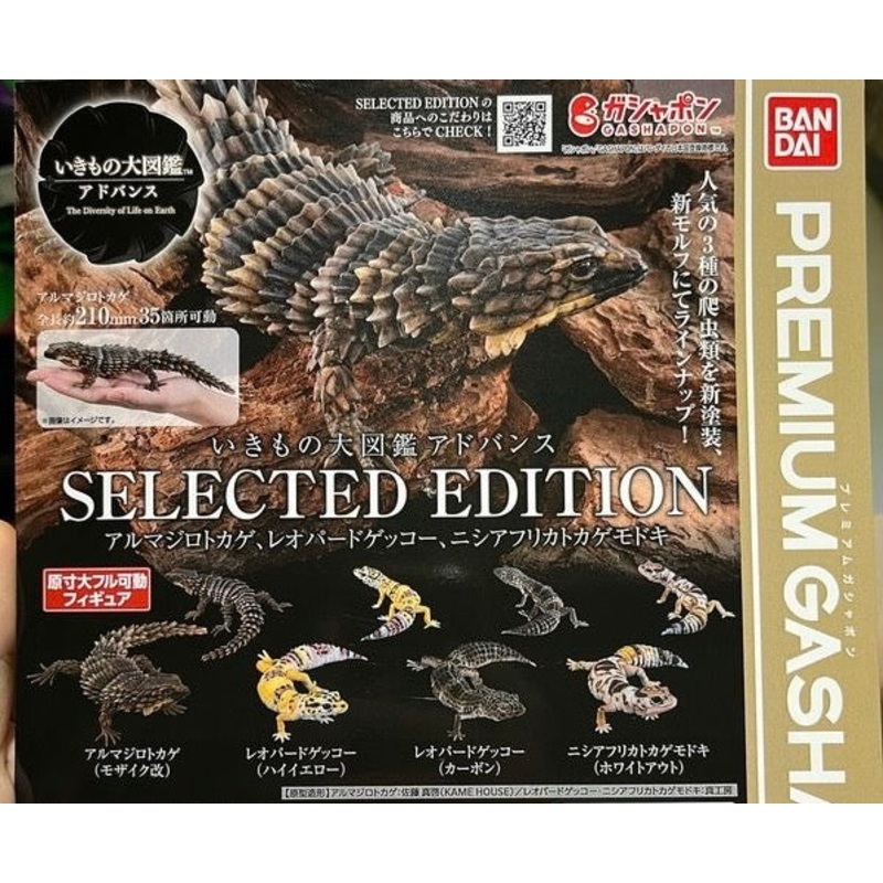 (Premier Bandai Gashapon) Armadillo Lizard, Leopard Gecko, Fat-Tail Gecko (Set of 4) 1 at random