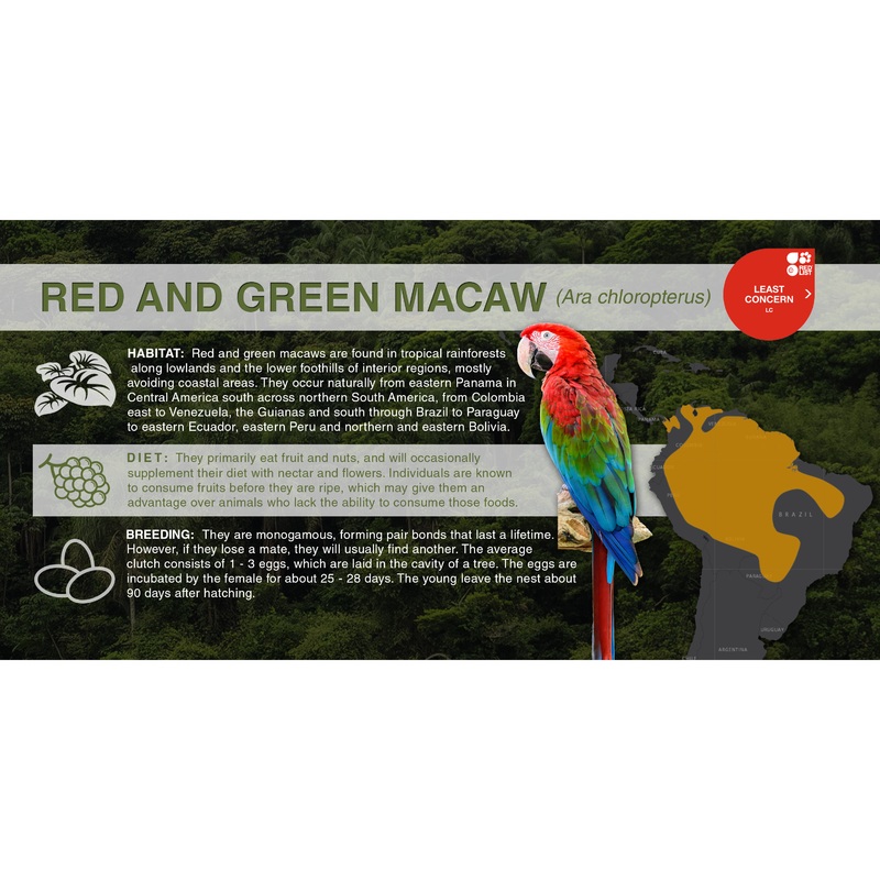 Red and Green Macaw (Ara chloropterus) – Aluminum Sign No SmartShield