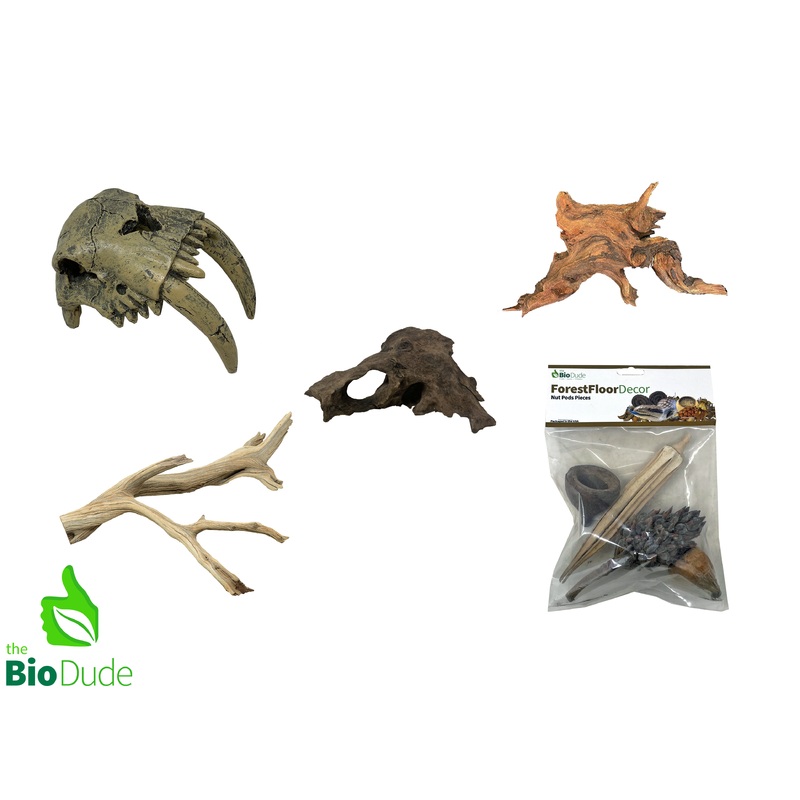 Sabertooth Tiger Decor Kit Small