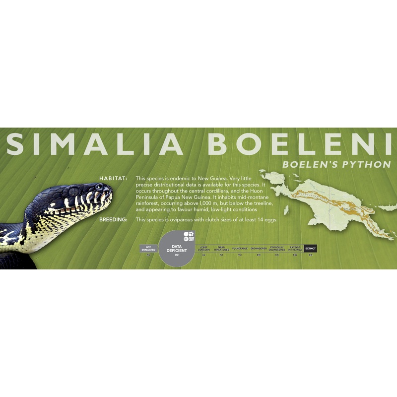 Boelen’s Python (Simalia boeleni) Classic Vivarium Label
