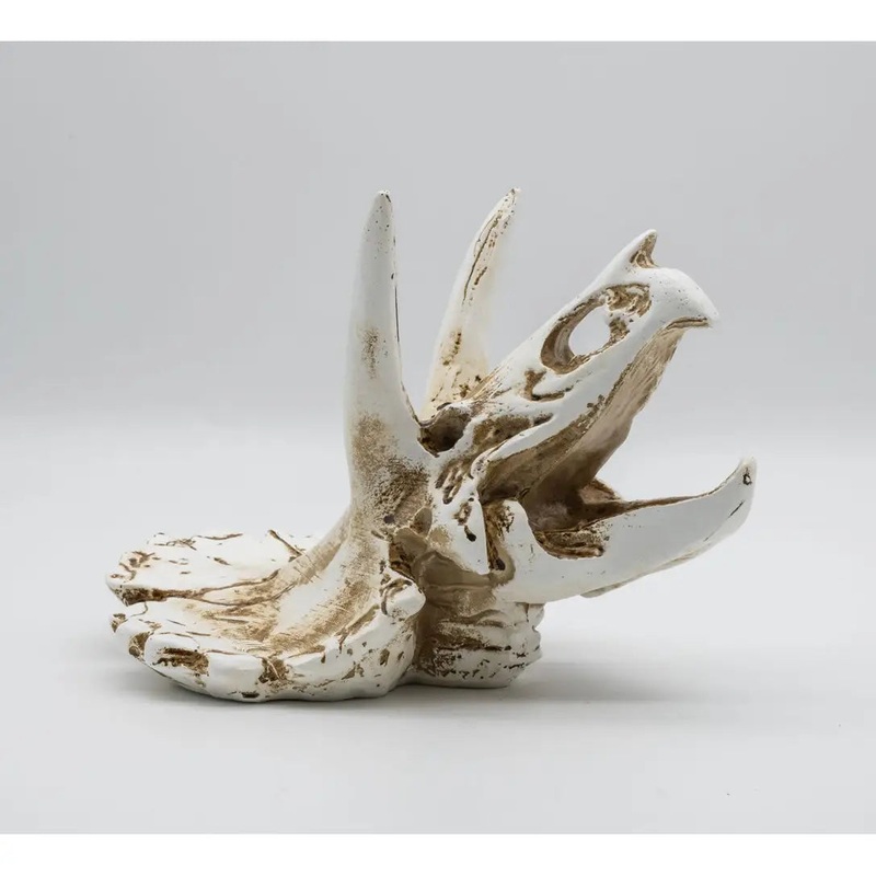 ProRep Resin Triceratops Skull