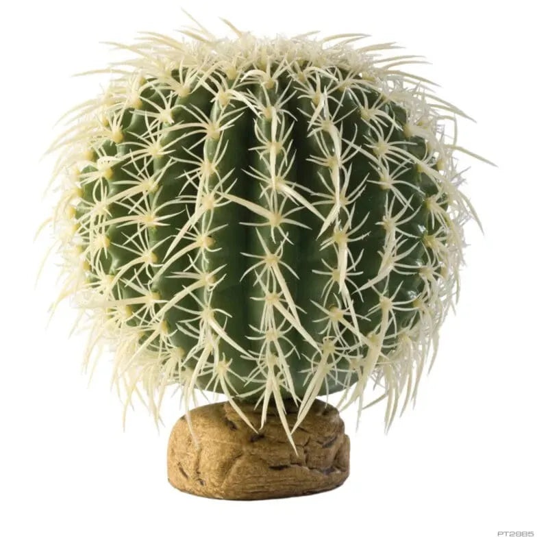 Exo Terra Barrel Cactus Medium 13cm