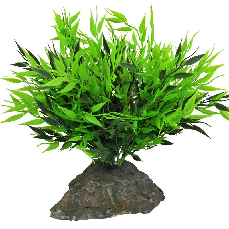 Lucky Reptile Bamboo Tuft