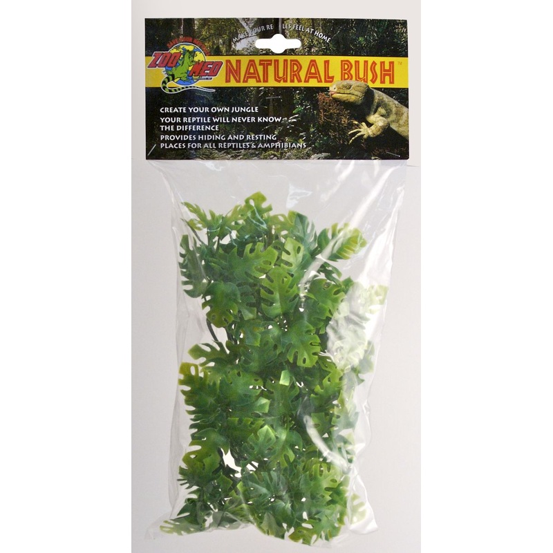 ZM Amazonian Phyllo Small