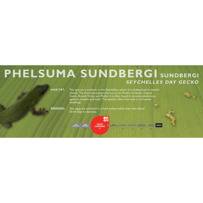 Seychelles Day Gecko (Phelsuma sundbergi) Classic Vivarium Label Sundbergi