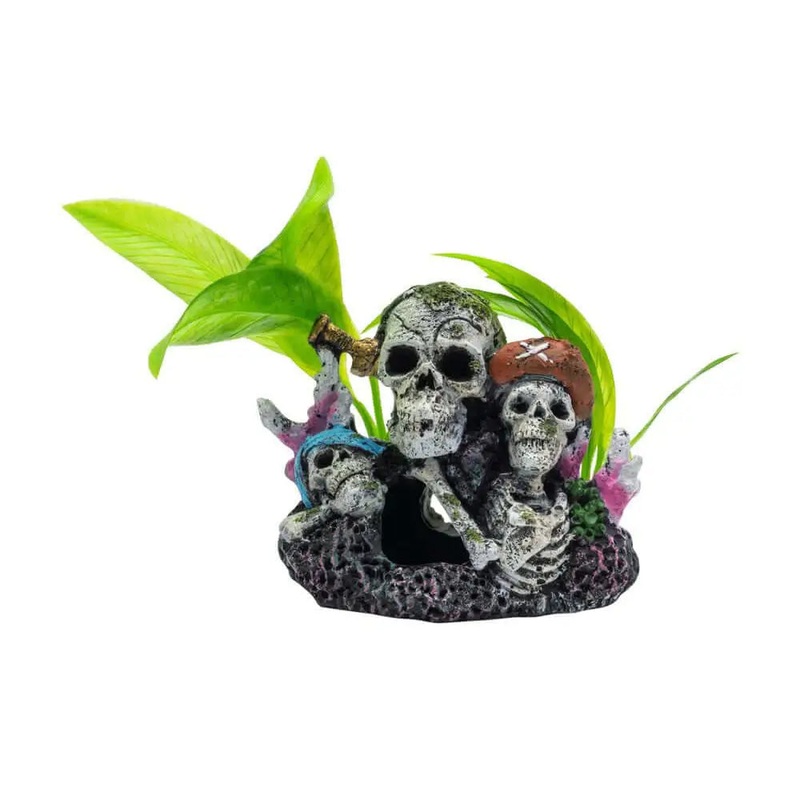 AquaSpectra Pirate Skull Group 11×7.5x11cm