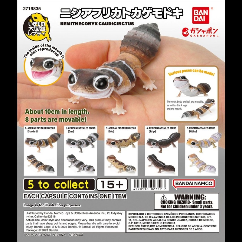(Bandai Gashapon) The Diversity of Life on Earth Hemitheconyx Caudicinctus