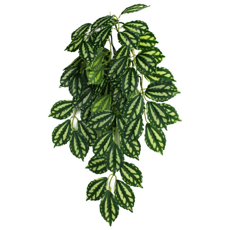 Komodo Two-Toned Leaf Hanging Plant 16in