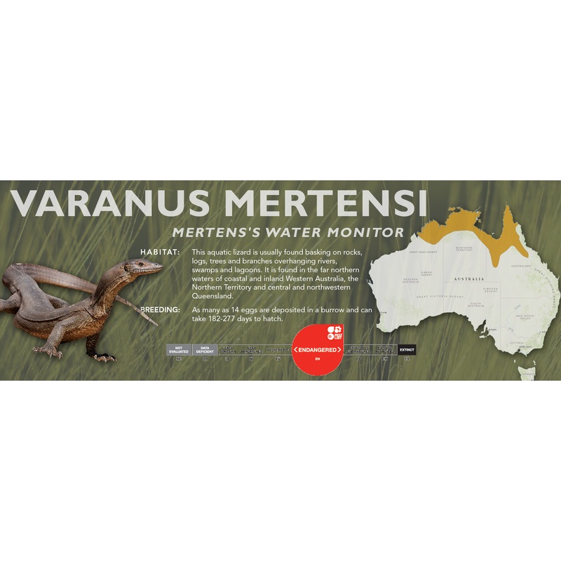 Mertens’s Water Monitor (Varanus mertensi) Classic Vivarium Label