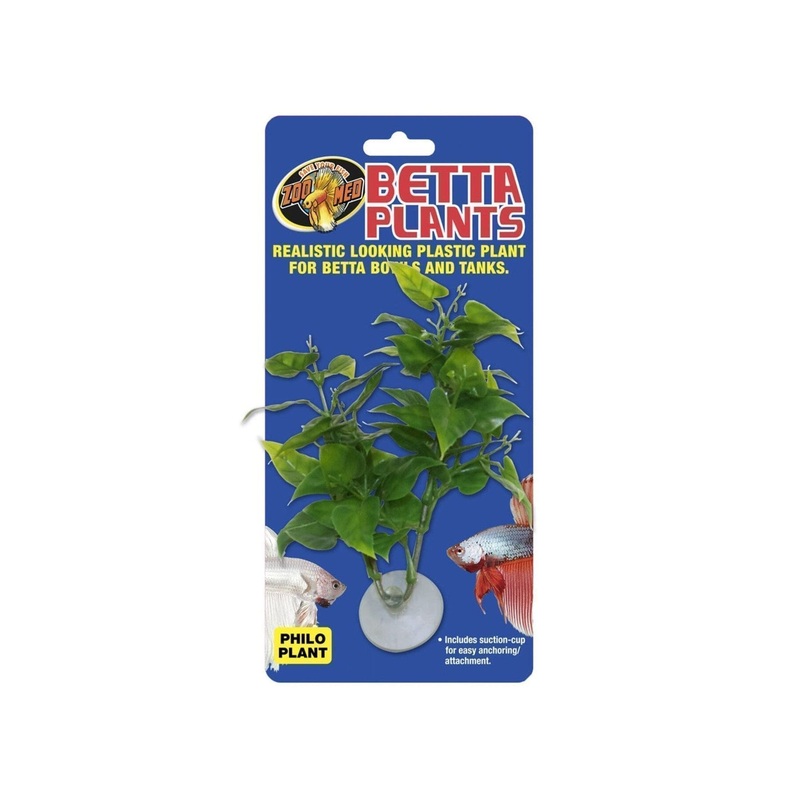 Zoo Med Betta Plant Philo Green, 1ea