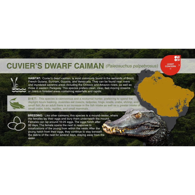 Cuvier’s Dwarf Caiman (Paleosuchus palpebrosus) – Aluminum Sign No SmartShield