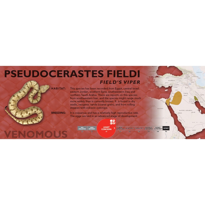 Field’s Viper (Pseudocerastes fieldi) Classic Vivarium Label Original