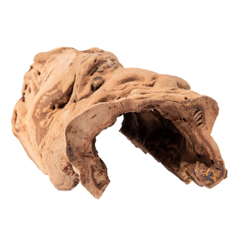 Galapagos Grapevine Cave 10-14″