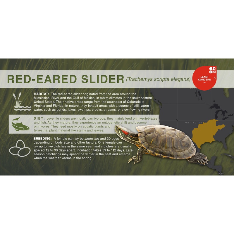 Red-Eared Slider (Trachemys scripta elegans) – Aluminum Sign No SmartShield