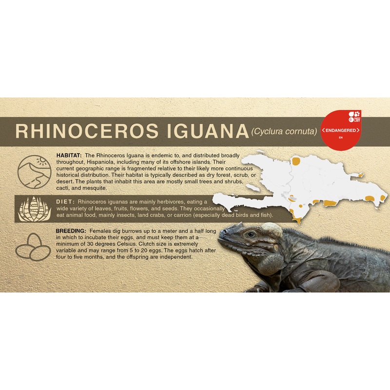 Rhinoceros Iguana (Cyclura cornuta) – Aluminum Sign No SmartShield