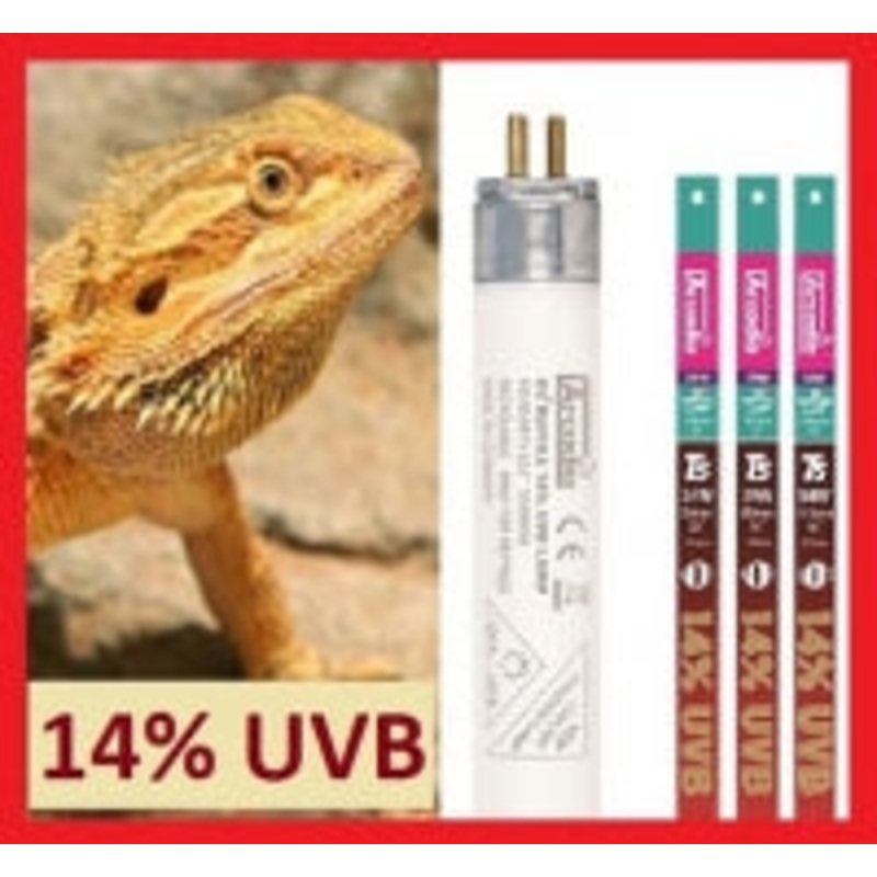 Arcadia Dragon D3+  14% UVB T5 Bulb 22″ T5-HO Bulb / 24 watt