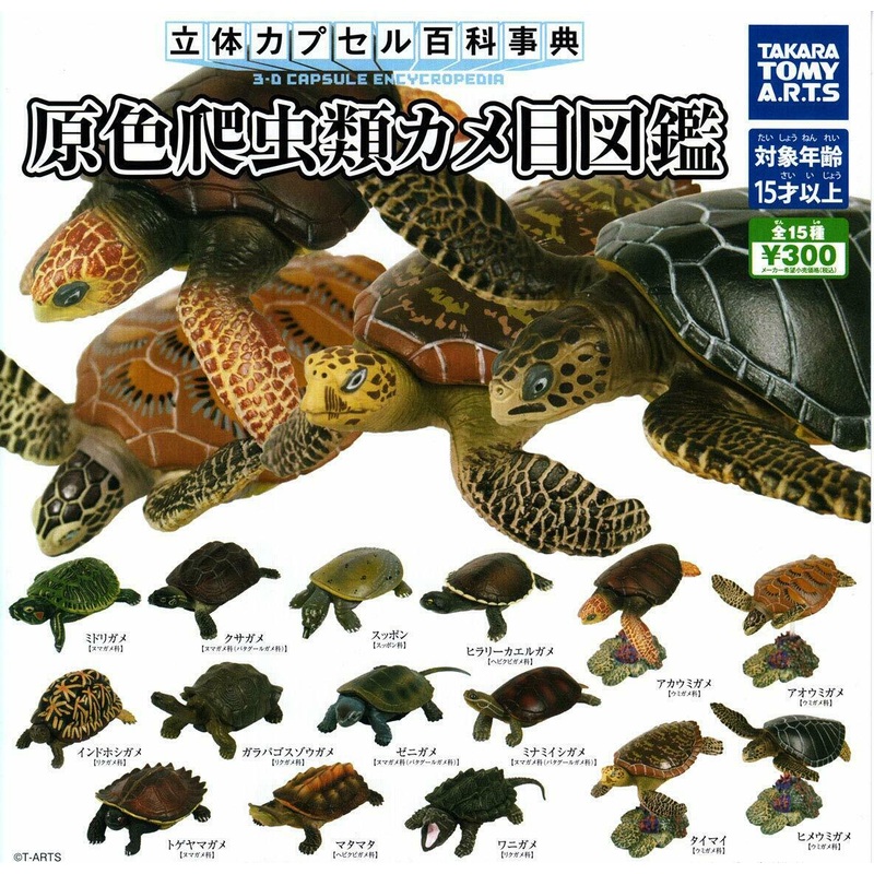 (Gashapon)Reptile Turtle Illustration (15 types in total) 1 at random