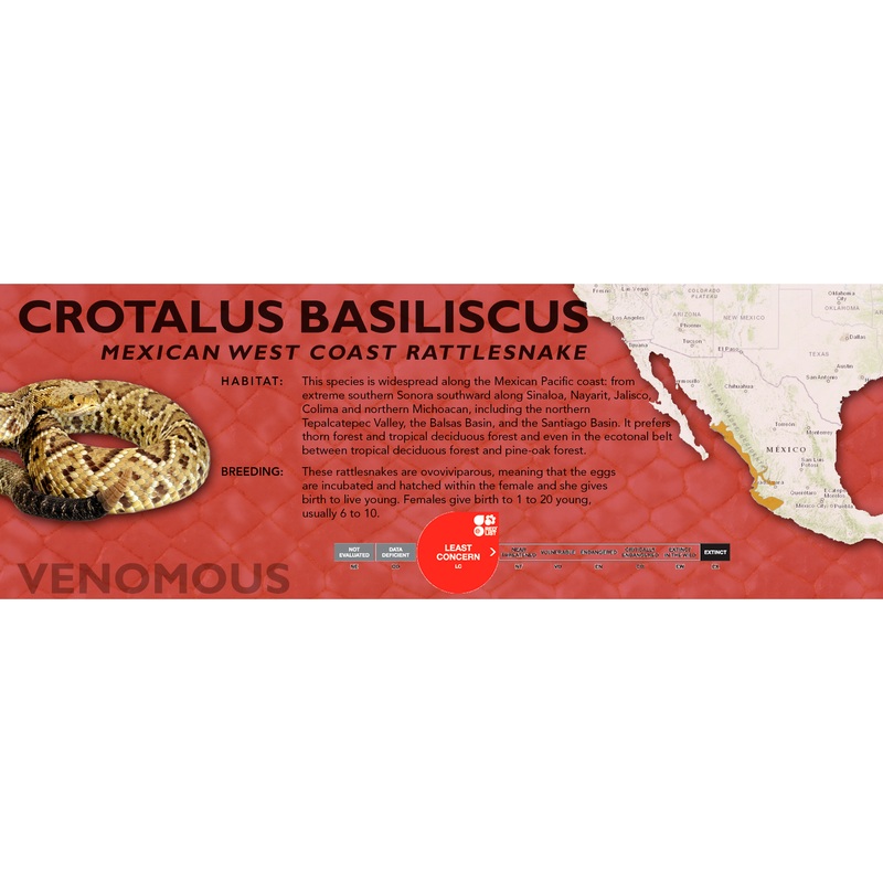 Mexican West Coast Rattlesnake (Crotalus basiliscus) Classic Vivarium Label Original