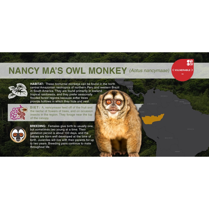 Nancy Ma’s Owl Monkey (Aotus nancymaae) – Aluminum Sign No SmartShield