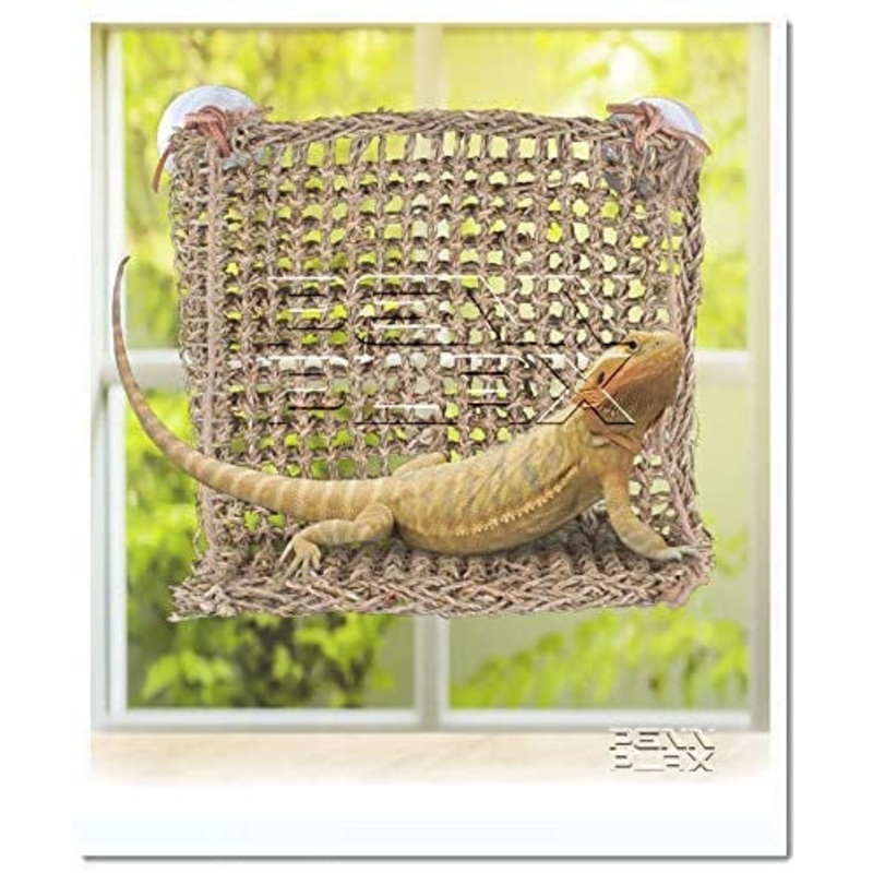 Penn Plax Lizard Lounger Sun-Lover