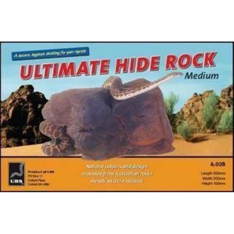 Reptile Snake Lizard Python Hide Rock Medium