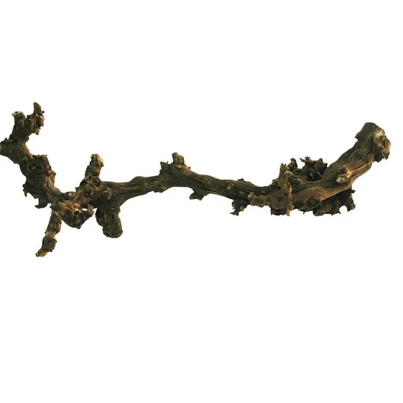 Lucky Reptile Dark Grapevine Small