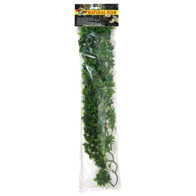 Zoo Med Natural Bush Congo Ivy Small 14in