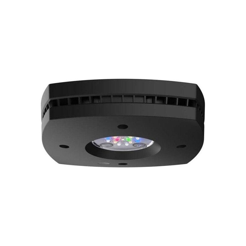 Aqua Illumination Prime Freshwater LED Light Fixture Black, 1ea