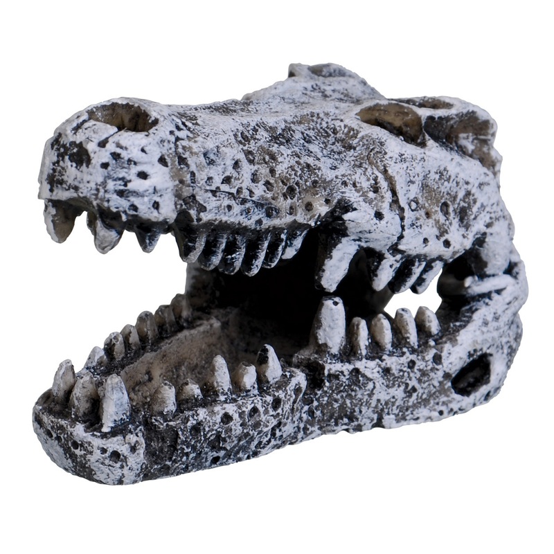 Underwater Treasures Crocodile Skull mini