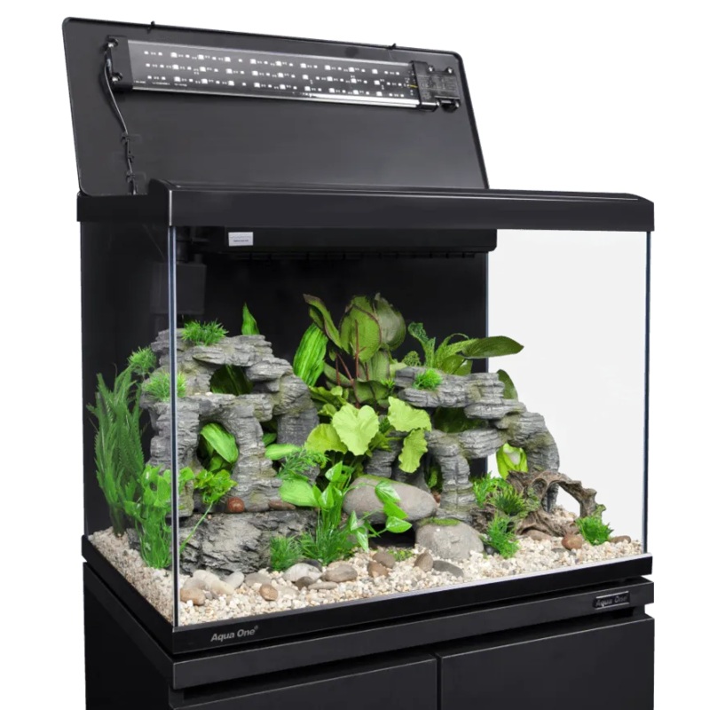 Aqua One Lifestyle Classic Complete Glass Aquarium Lifestyle Classic 40 Black