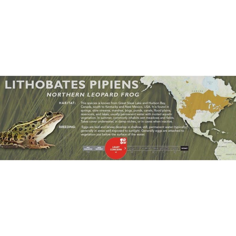 Northern Leopard Frog (Lithobates pipiens) – Classic Vivarium Label
