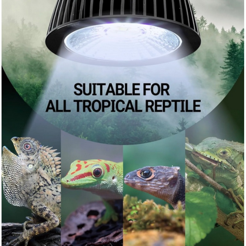 ReptiZoo UVB LED Mini Tropical Lamp 3W