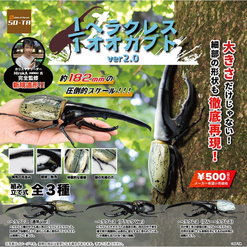 [Capsule Toy] 1/1 Hercules Kabuto 02 – Random Signal Type 1 at ramdom