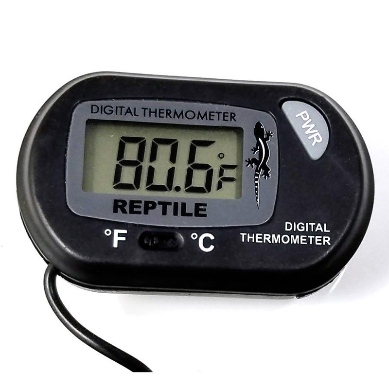 Pangea Digital Thermometer