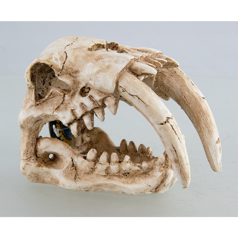 Underwater Treasures Sabertooth Skull