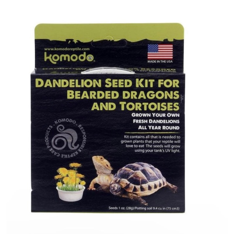Dandelion Seed Kit