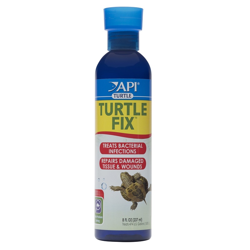 API Turtle Fix