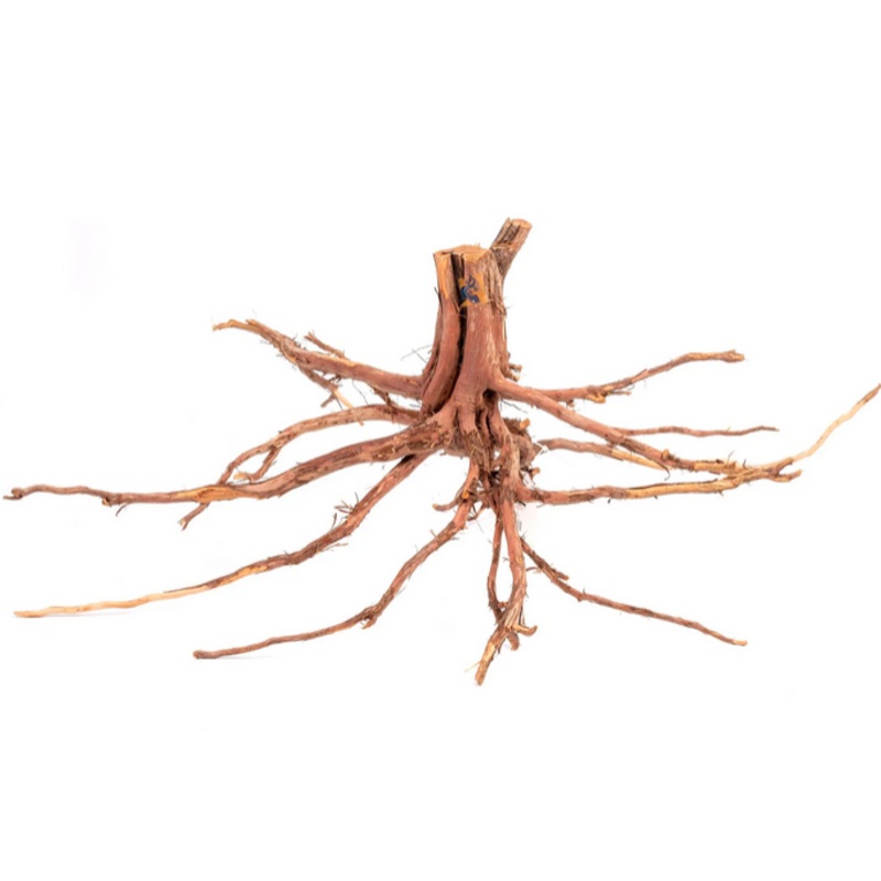 Aquaglobe Alborz Wood (Clearance- Final Sale)