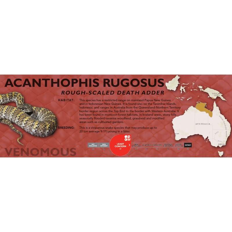 Rough-Scaled Death Adder (Acanthophis rugosus) Classic Vivarium Label Original