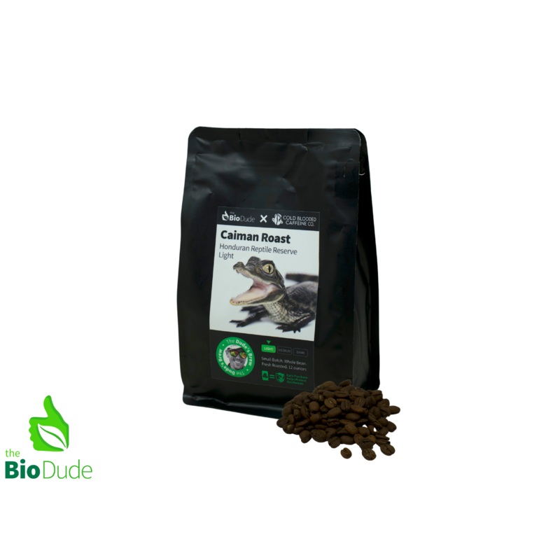 The Dude’s Brew Caiman Roast LIGHT – Premium whole bean coffee