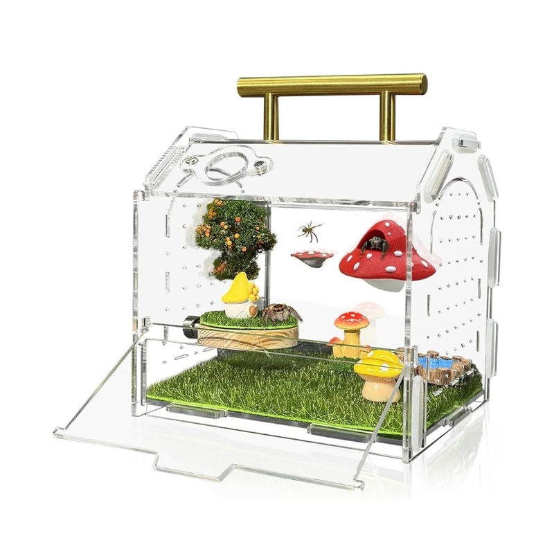 Acrylic Jumping Spider Enclosure (with handle)