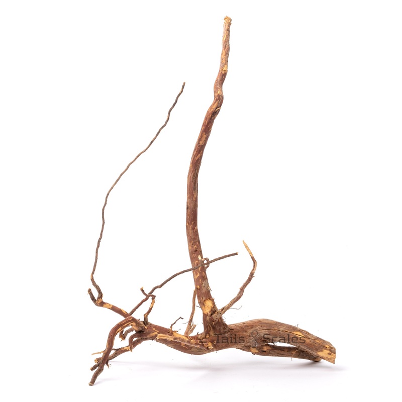 Aquaglobe Kakado Wood (Clearance- Final Sale)