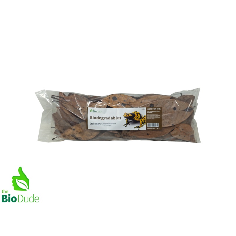 Bio Dude Leaf Litter – Magnolia Leaves