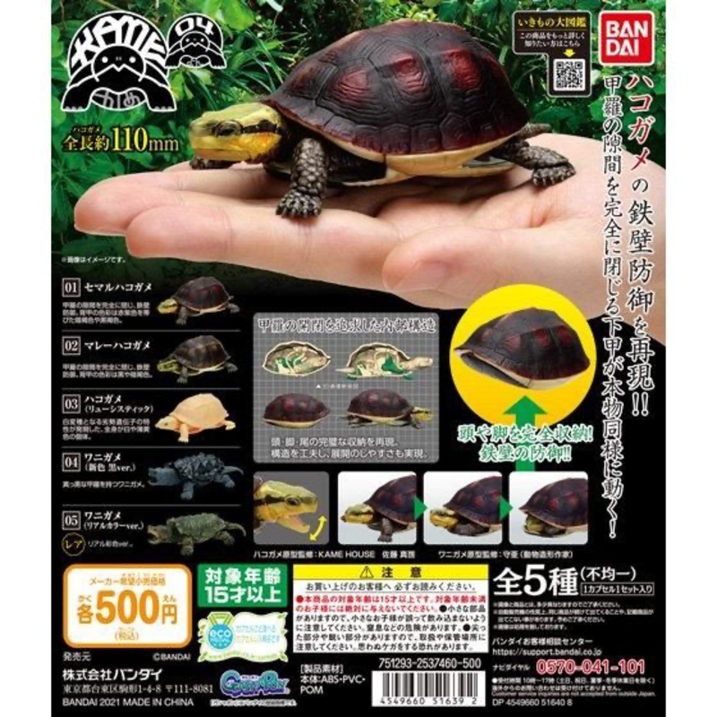 (Gashapon)Bandai Gashapon Kame 04 (5 types in total) 1 at random