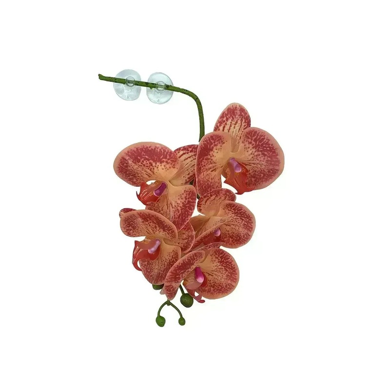 Pangea Hanging Orchid Orange & Yellow