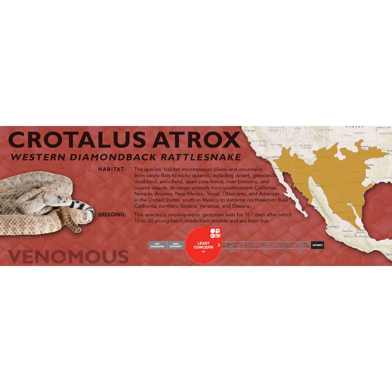 Western Diamondback Rattlesnake (Crotalus atrox) Classic Vivarium Label Standard Original