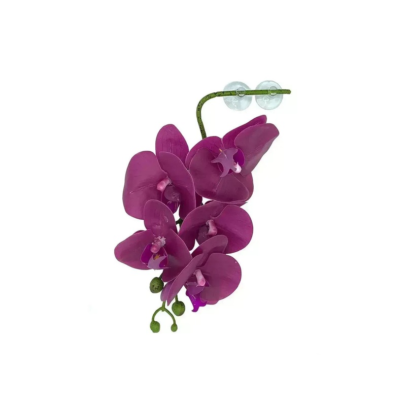 Pangea Hanging Orchid Purple