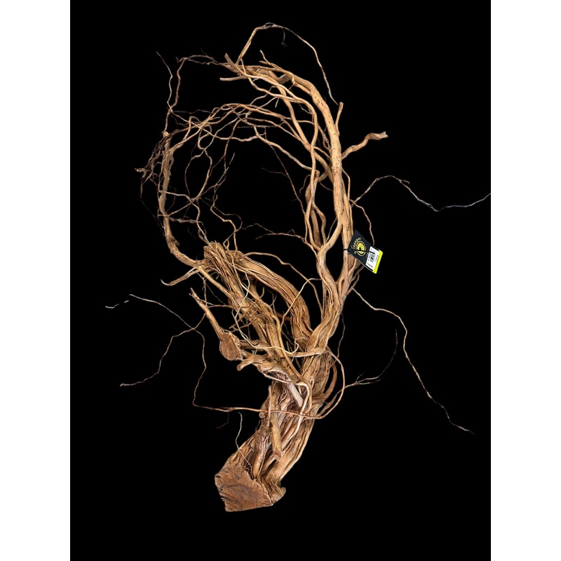 Galapagos Dragon Wood  (Approx. 30-59″)