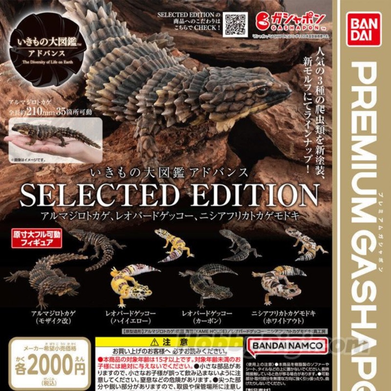 (Gashapon) Bandai  – The Diversity Of Life On Earth Collected Edition Armadillo Lizard, Leopard Gecko, Fat-Tail Gecko