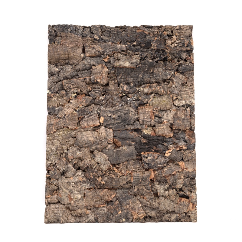 Pangea Cork Background – Rough 12″ x 18″